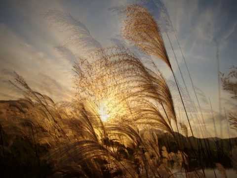 Bahrahm (바람)- Diederik Wissels/ Jihye Lee(이지혜)