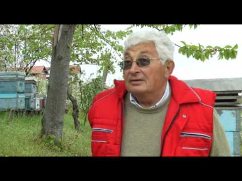 Poslednji rok za prskanje voća,savetuju stručnjaci