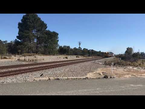 G511 and FL220 lead 4146 Container service to Forrestfield