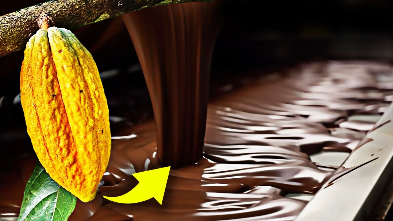 Como o CHOCOLATE é feito? Como o Chocolate é Produzido? Processo de produção do chocolate
