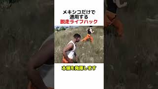 メキシコだけで通用する脱走ライフハック#歯磨きとにゃーにゃー#gta #gta5 #gtaonline #メキシコ#脱走