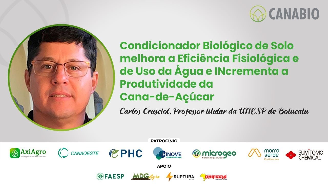 CANABIO: Condicionador Biológico de Solo Melhora a Eficiência Fisiológica e de Uso da Água