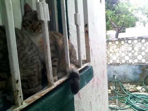 25 de febrero de 2017