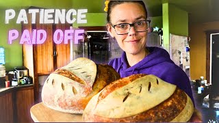 Worth the Wait | Sourdough & Pickled Beets | Hamakua Homestead Vlog