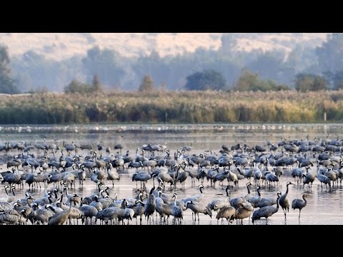 HD! Expedition Mittelmeer - Wanderer [Doku]