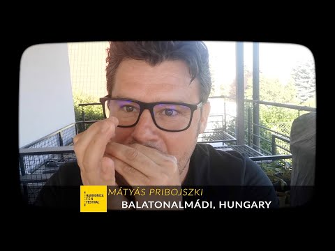 HARMONICA F E N FESTIVAL 2022 - MATYAS PRIBOLSKI