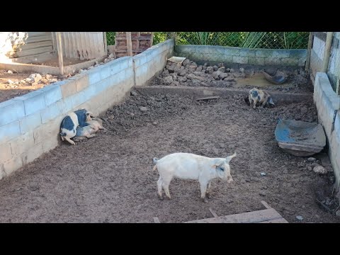 CLUBE RINCÃO - POUSADA E LAZER EM PARELHEIROS SÃO PAULO - SP