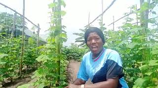 Meet Unyime Effiong Ukpo, an organic farmer from Nigeria 🇳🇬