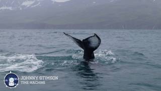 Johnny Stimson - Time Machine