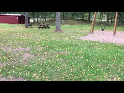 Badplats LILLA GALTSJÖN Belganet i september 2018 (iPhone SE) - BLT - Ronneby (Christian Hylse)