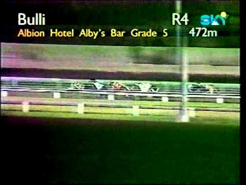 Bulli dogs race - 1997