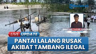 Tambang Ilegal Rusak Kawasan Pantai Lalang, Kades Sebut Mangrove dan Pohon Cemara Mulai Tumbang