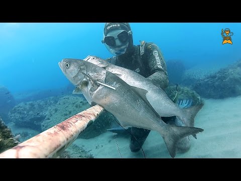 Spearfishing: "One shot two Kills" - 10/September/2016