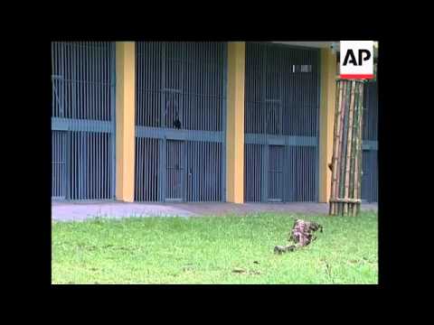 Maggie Q opens park for rescued bears