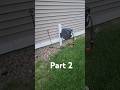 DIY Giraffe Tools Hose Reel Post
