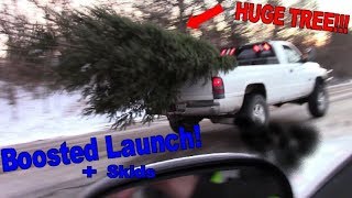 20 Foot Christmas Tree!  A little big?