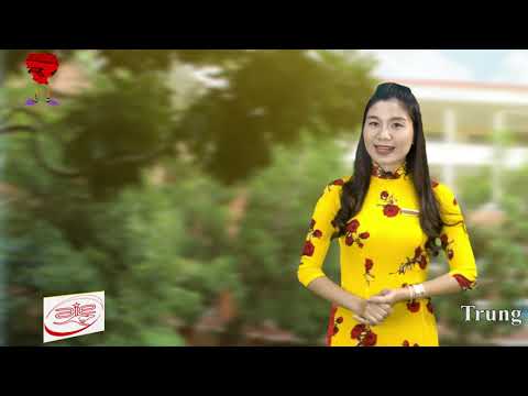 Top 5 câu chúc mừng ngày Nhà giáo Việt Nam 20/11