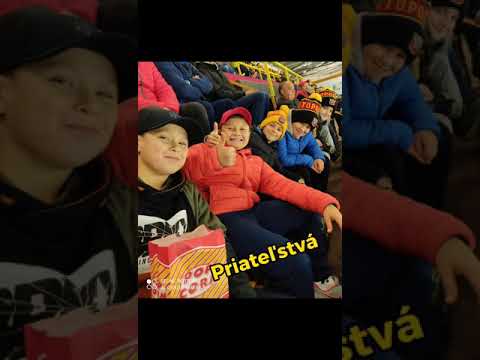 Hokejový klub HC Topoľčany o z