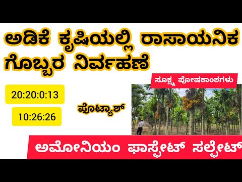 ಅಡಿಕೆ ಕೃಷಿಯಲ್ಲಿ ರಾಸಾಯನಿಕ ಗೊಬ್ಬರ ನಿರ್ವಹಣೆ ! Use these Fertilizer for better yeilding ?