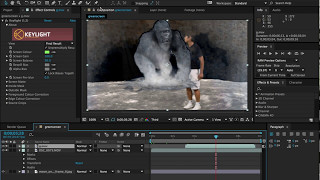 After Effects: Greenscreen & mask.