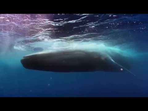 "Safe & Secure" Certified Tourism Service Providers 