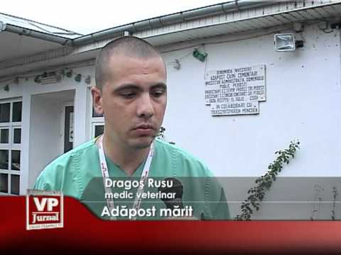 Adăpost mărit