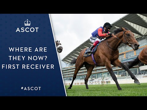 First Receiver | Where are they now?