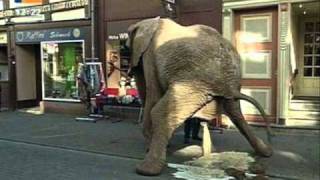 Blood Duster   Pissing Contest