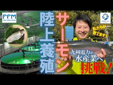 みらいサーモン陸上養殖場 －豊前発電所の敷地を活用したスマート水産業－