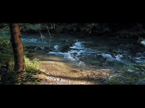 Beskid Mountains // Sean Kitching B-Roll Challenge