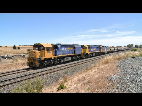 Pacific National Grain Train At Moorabool Loop (20/12/2022) - PoathTV Australian Railways