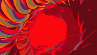 Animal Collective - Lion In A Coma