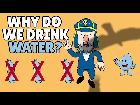 Why Do We Drink Water? | What Does Water Do for the Body
