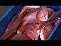 Best Crab Claws In Panama City Beach
