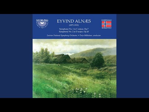 Symphony No. 1 in C Minor, Op. 7: I. Allegro patetico