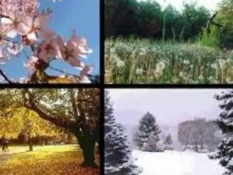 Andrzej Saciuk - S. Moniuszko - Pieśń "Oj, dąbrowo..."