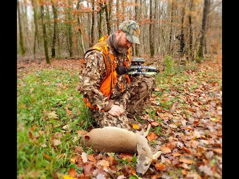 Frankreich / Reh mit Jagdfpeil und Bogen / Luis Hant