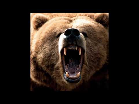 29. Kodyak - Bent [??.??.201?]