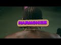 Harmonize - Ushamba (official music video)