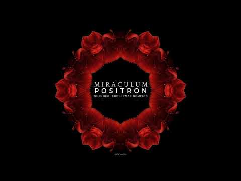 MiraculuM - Positron (Erdi Irmak Remix)