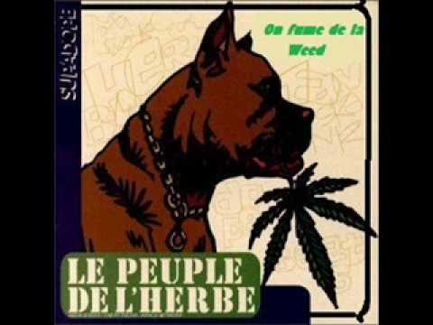pourquoi fumer d'la weed