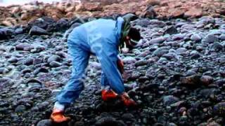 La Fuga   Nunca mais