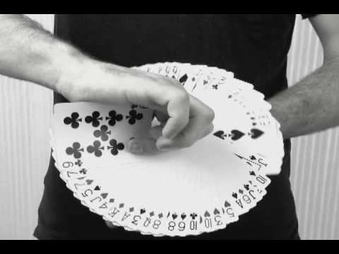 Camahan Fan (Dan and Dave buck)