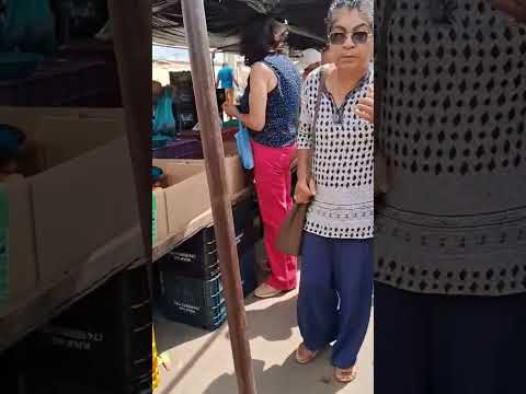 FEIRA DE JOÃO DOURADO BA #irecê #nordeste #roça #feira #vidanaroça #sertão #feiralivre #joaodourado