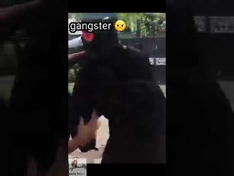 කපිල ආයේ ඕනේ 😓 kapila undukapuchcha have 4 moods 🙂❤️ #maniya #shorts