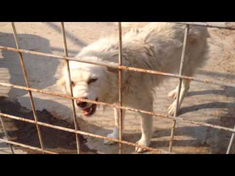 Another Rodica -Oct2014