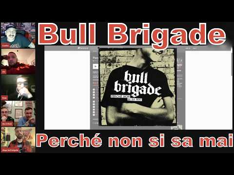 Faccio PUNK anche se ho chiuso coi suoi schemi!! BULL BRIGADE - Presentazione "Perché non si sa mai"