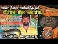 இலாபத்தை அள்ளித்தரும் விரால் அவுரி ம