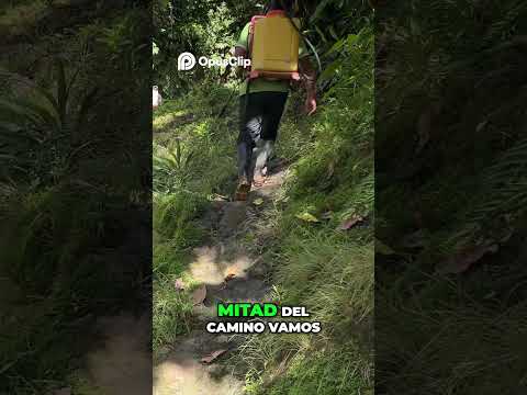 ¡Acelerando al Máximo! Reporte desde Viva Dabeiba Turismo en Antioquia