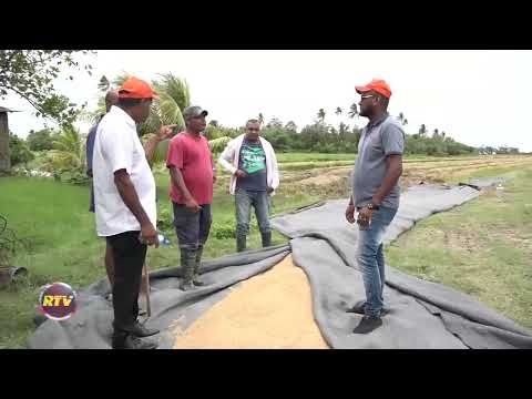 Description or Alt Text